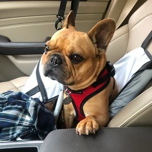 Meet your Posher, Emery